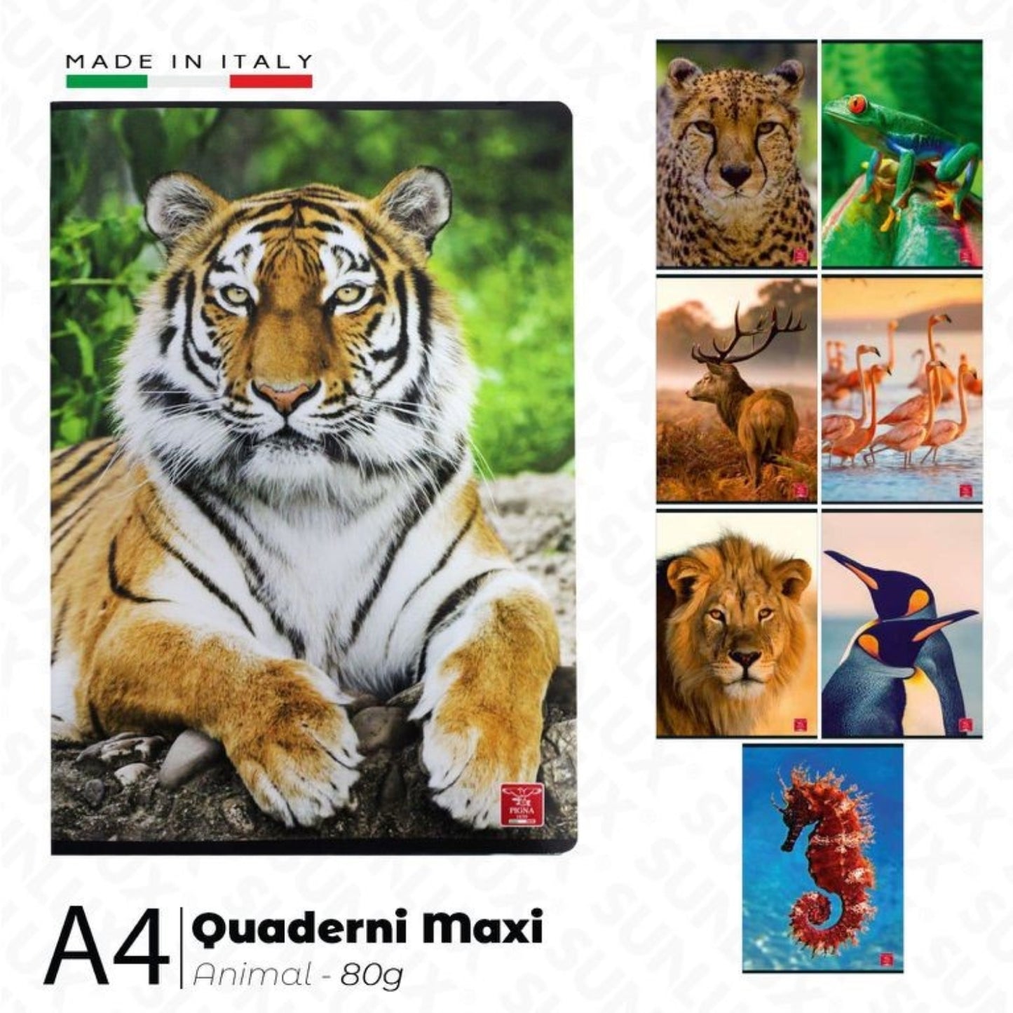 QUADERNO MAXI PIGNA 80G A QUADRETTI 4M