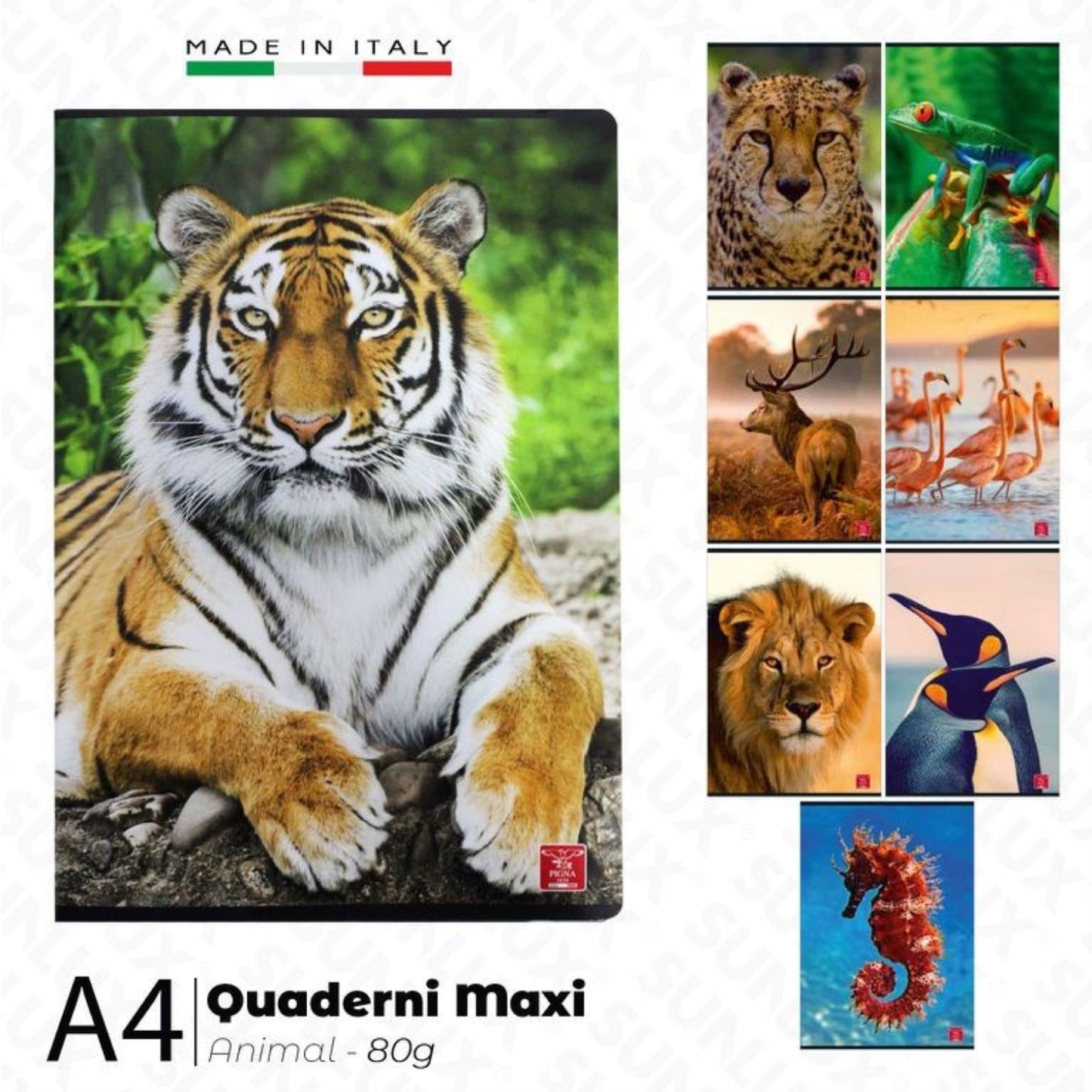 QUADERNO MAXI PIGNA 80G A QUADRETTI 5M
