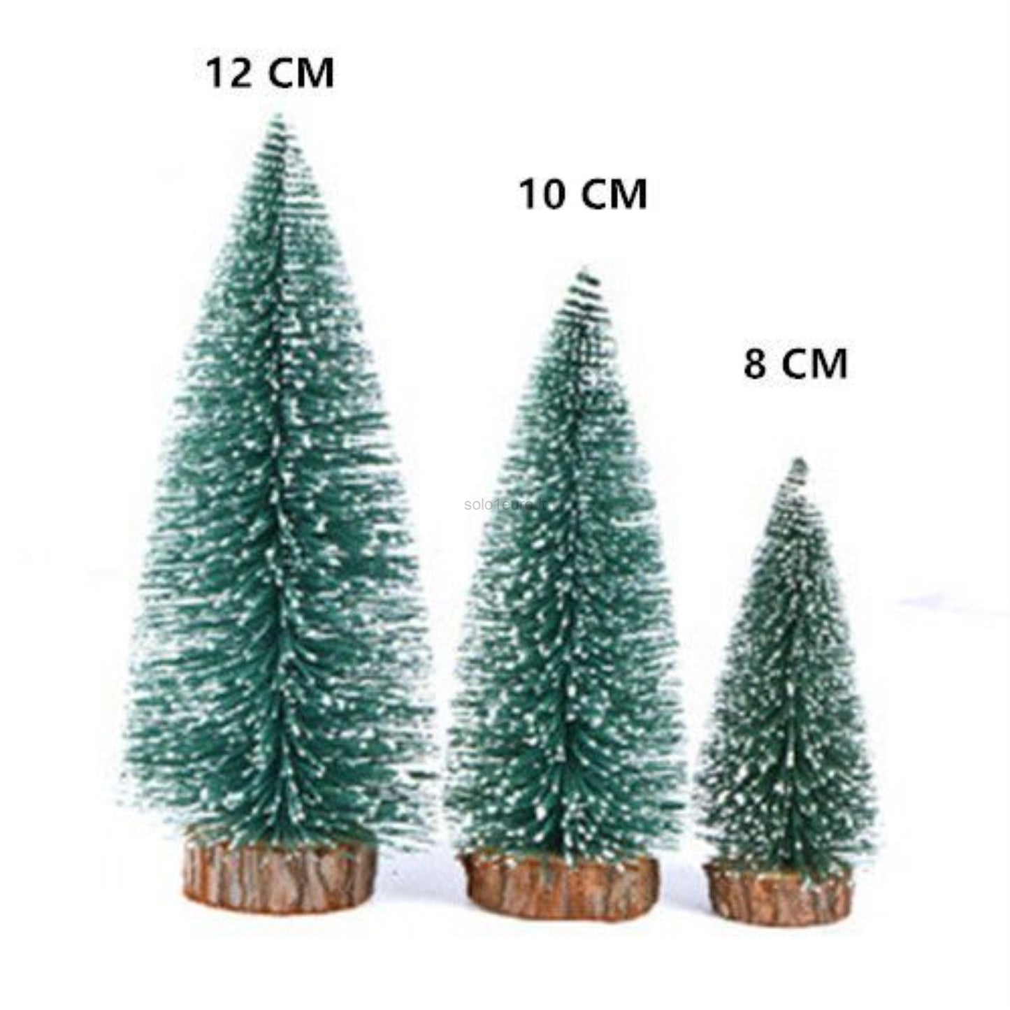 ALBERO DI PINO MISURI DIVERSI PZ.3