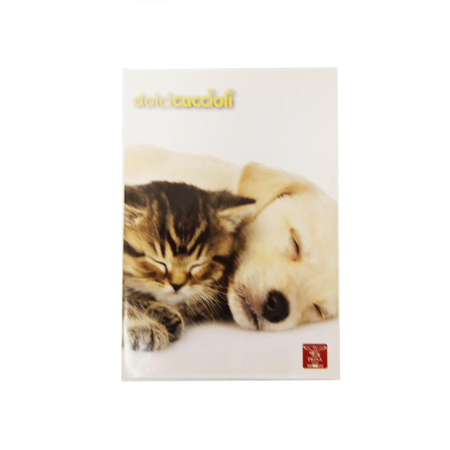 QUADERNO MAXI CUCCIOLI 80G A QUADRETTI 10M