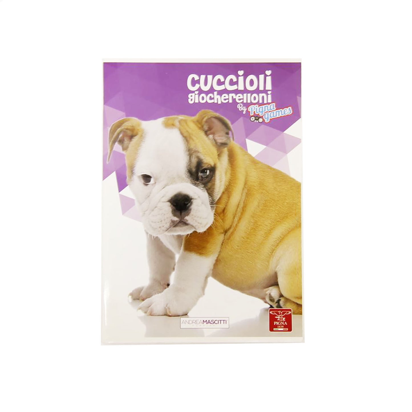 QUADERNO MAXI CUCCIOLI 80G A QUADRETTI 10M