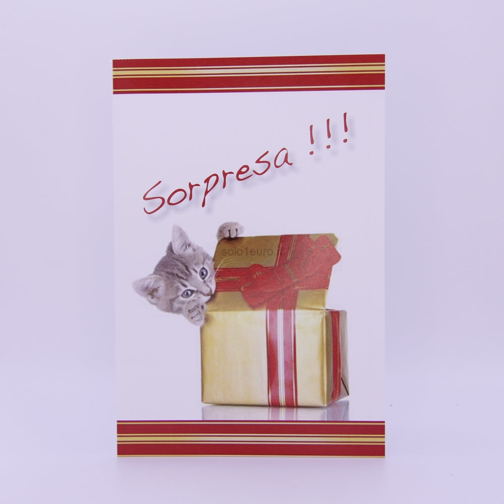 BIGLIETTO AUGURI SORPRESA CON BUSTINA